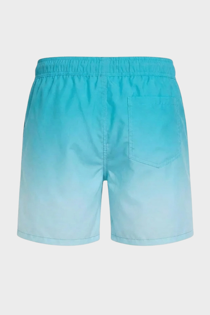 Men's Swim Shorts | Quick-Dry