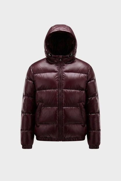 Women's Shiny Puffer Jacket | Hooded Design