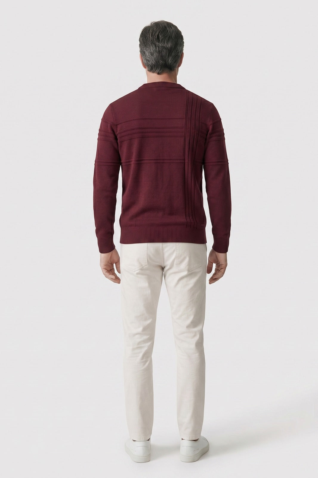 Men's Striped Crew Sweater | Ribbed Trim — Rot — back view — on model